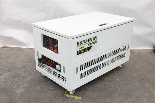 张家口高原特供 TOTO25汽油发电机在特殊环境下的机电产品应用